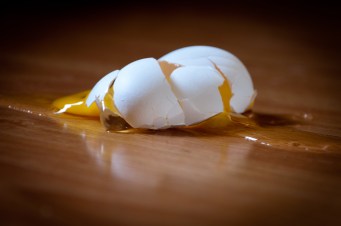 egg