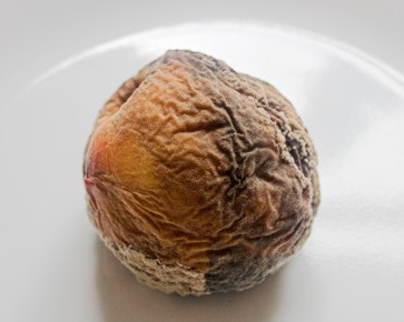 img_1097-peach-v2-680